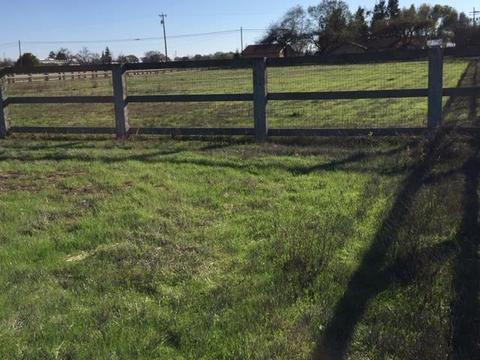 13975 E Tokay Colony Rd, Lodi, CA 95240 photo 50