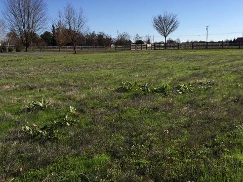13975 E Tokay Colony Rd, Lodi, CA 95240 photo 51