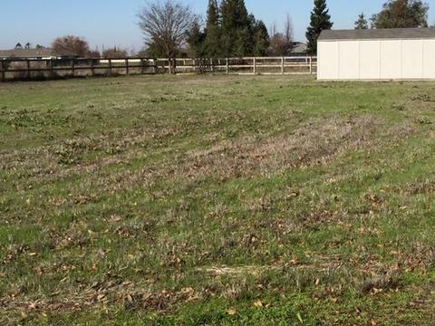 13975 E Tokay Colony Rd, Lodi, CA 95240 photo 48