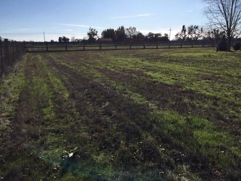 13975 E Tokay Colony Rd, Lodi, CA 95240 photo 61