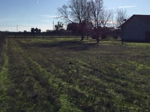 13975 E Tokay Colony Rd, Lodi, CA 95240 photo 55