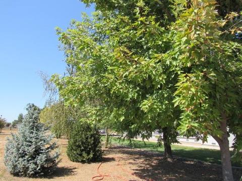 13975 E Tokay Colony Rd, Lodi, CA 95240 photo 37