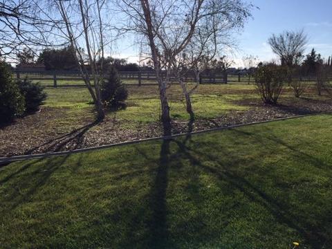 13975 E Tokay Colony Rd, Lodi, CA 95240 photo 64