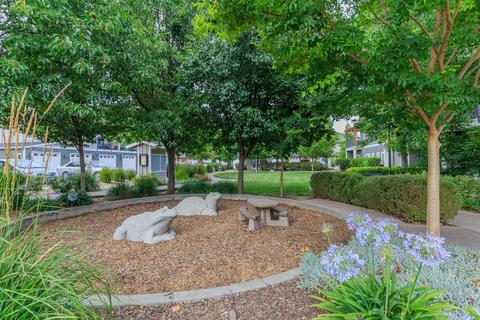 1818 Moore Blvd #243, Davis, CA 95618 photo 31