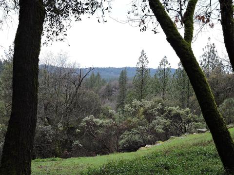 481 Nob Hill Dr, Applegate, CA 95703 photo 51