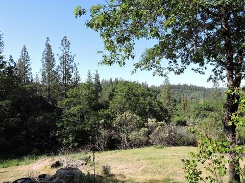 481 Nob Hill Dr, Applegate, CA 95703 photo 14