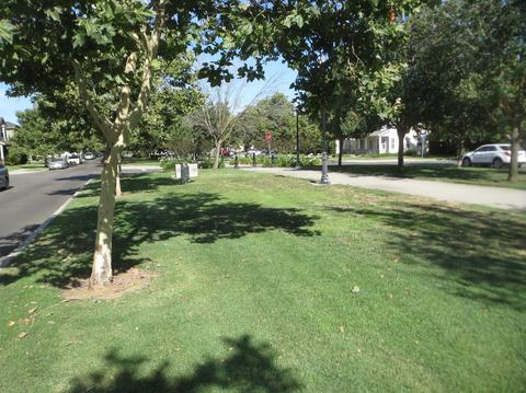 2425 Paseo Del Sol, Turlock, CA 95382 photo 4