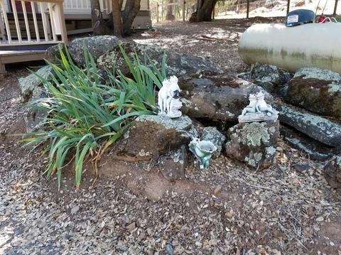 2256 Tiny Ln, Placerville, CA 95667 photo 24