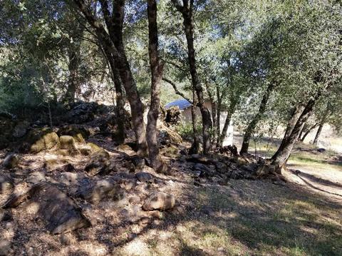 2256 Tiny Ln, Placerville, CA 95667 photo 23