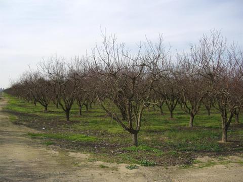 5631 Carver Rd, Modesto, CA 95356 photo 15