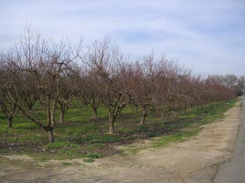 5631 Carver Rd, Modesto, CA 95356 photo 16