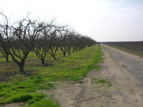 5631 Carver Rd, Modesto, CA 95356 photo 6
