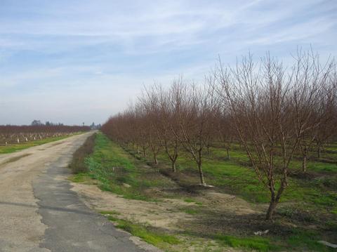 5631 Carver Rd, Modesto, CA 95356 photo 37