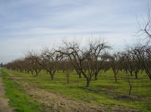 5631 Carver Rd, Modesto, CA 95356 photo 12