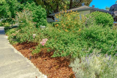4044 Vista Dr, Davis, CA 95618 photo 4