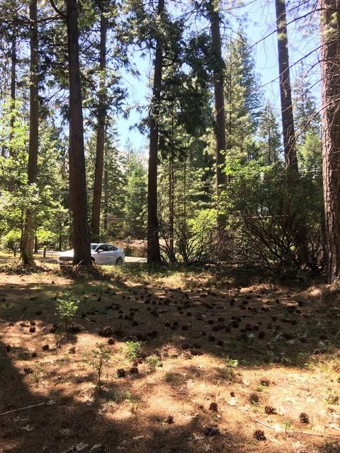6021 Sly Park Rd, Placerville, CA 95667 photo 2