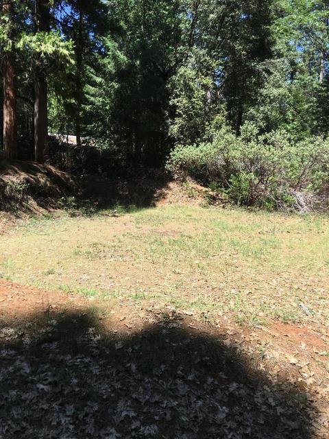 6021 Sly Park Rd, Placerville, CA 95667 photo 4