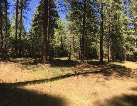 6021 Sly Park Rd, Placerville, CA 95667 photo 17