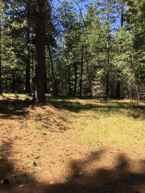 6021 Sly Park Rd, Placerville, CA 95667 photo 6