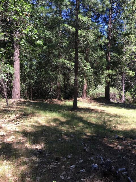 6021 Sly Park Rd, Placerville, CA 95667 photo 10