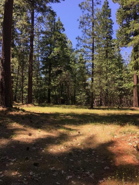 6021 Sly Park Rd, Placerville, CA 95667 photo 5