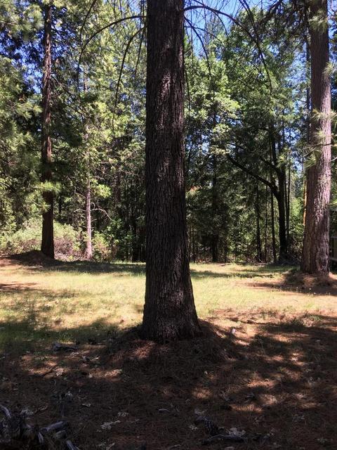 6021 Sly Park Rd, Placerville, CA 95667 photo 3