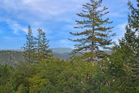 12150 Gold Strike Rd, Pine Grove, CA 95665 photo 32
