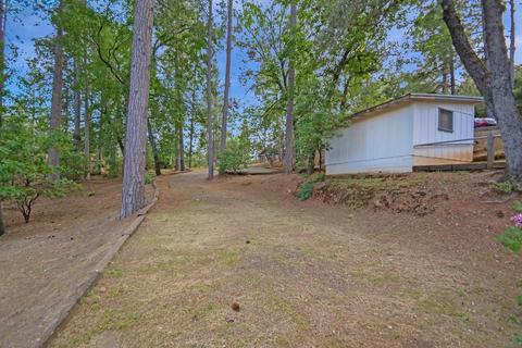 12150 Gold Strike Rd, Pine Grove, CA 95665 photo 39