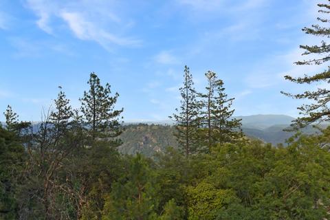12150 Gold Strike Rd, Pine Grove, CA 95665 photo 3