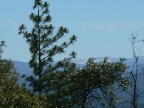12150 Gold Strike Rd, Pine Grove, CA 95665 photo 6