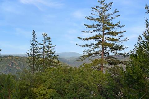 12150 Gold Strike Rd, Pine Grove, CA 95665 photo 44