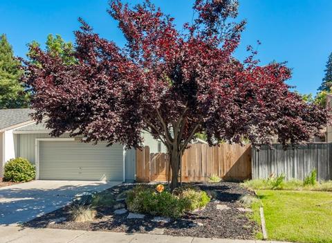 1035 Camphor St, Manteca, CA 95337 photo 1