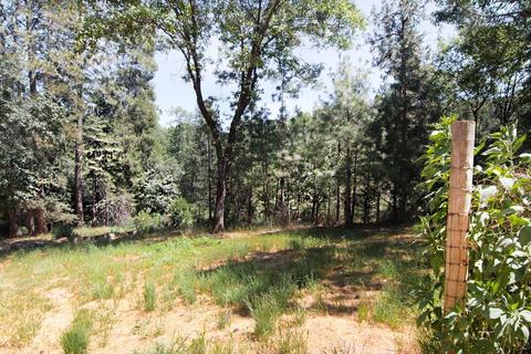 6840 Goferbroke Rd, Georgetown, CA 95634 photo 9