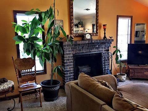 2663 Bayberry Dr, Lodi, CA 95242 photo 10