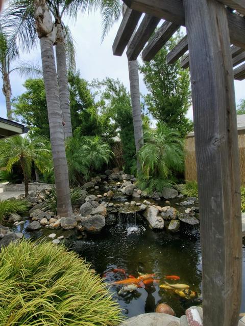 3113 Jeanette Dr, Modesto, CA 95350 photo 25