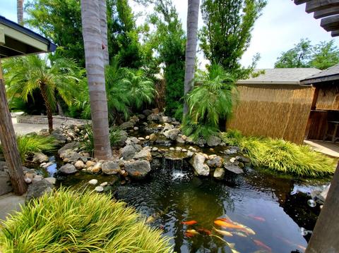 3113 Jeanette Dr, Modesto, CA 95350 photo 22