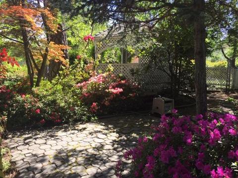 11200 Hackett Ct, Grass Valley, CA 95949 photo 43