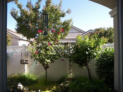 387 Sea Cove Dr, Ripon, CA 95366 photo 7