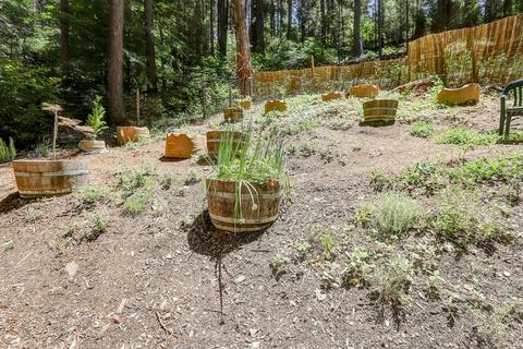 13496 Alpha Rd, Washington, CA 95986 photo 40