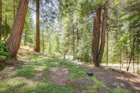 13496 Alpha Rd, Washington, CA 95986 photo 28