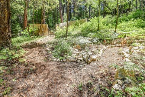 13496 Alpha Rd, Washington, CA 95986 photo 36