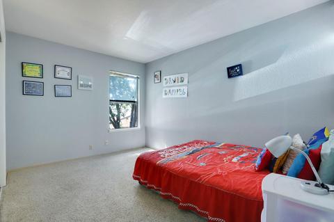 347 Scenic Pl, Manteca, CA 95337 photo 25