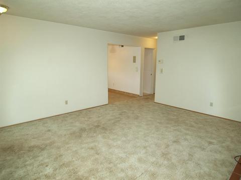 348 Harding Ave, Manteca, CA 95336 photo 10