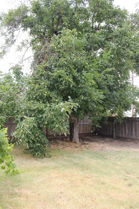 27 Church St, Modesto, CA 95357 photo 14