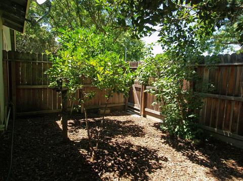 1308 Turquoise Dr, Modesto, CA 95355 photo 50