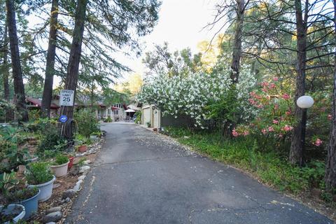 4641 Blanchard Rd, Placerville, CA 95667 photo 9