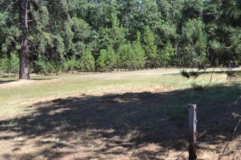 3025 Glee Ln, Placerville, CA 95667 photo 36