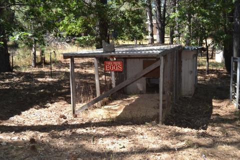 3025 Glee Ln, Placerville, CA 95667 photo 38