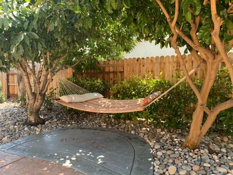 2404 Maestro Way, Modesto, CA 95355 photo 51