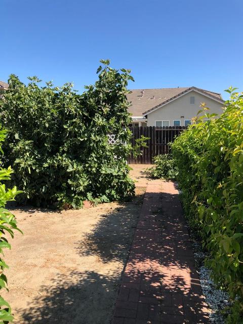 3833 Podocarpus Dr, Ceres, CA 95307 photo 40